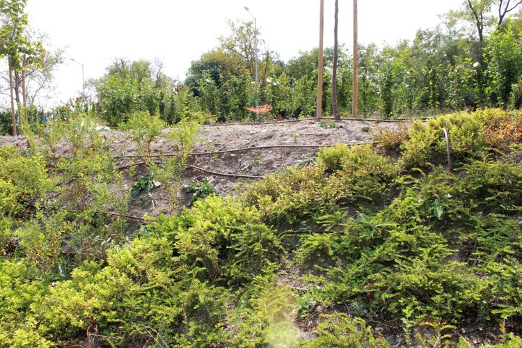 В ремонтираните в последните години площи има нова поливна система