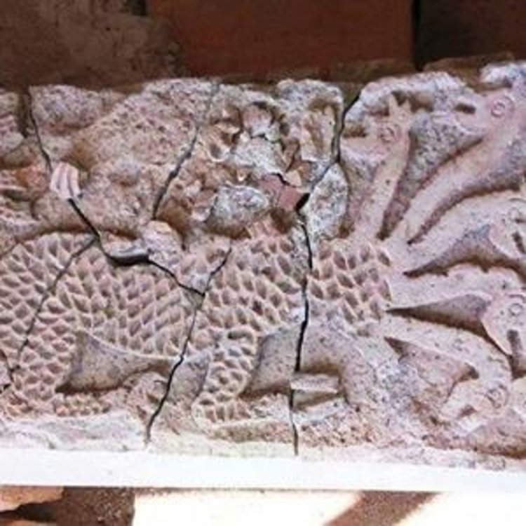 Показаха за първи път в НИМ седемглава ламя с корони от Ивайловградско