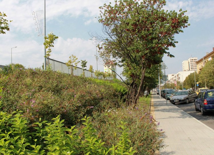 Поливна система бе поставена в зелените площи около новото кръгово кръстовище около Водната кула