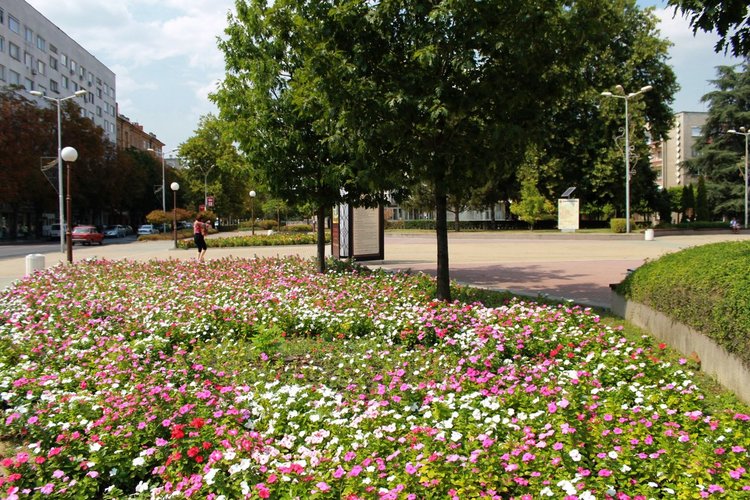 С поливна система разполагат и зелените площи пред Общината