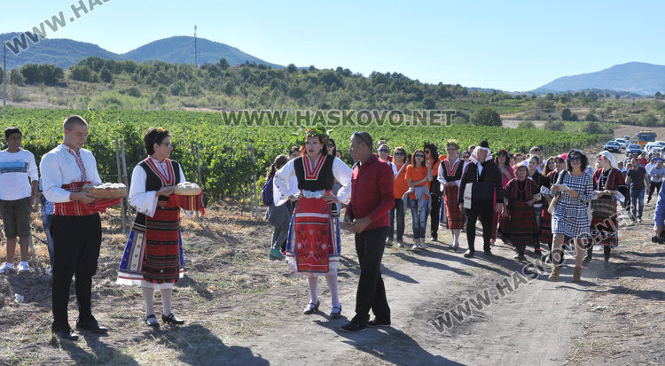 Славяни започнаха гроздобера край Сусам с тракийски ритуал, гроздето поскъпва