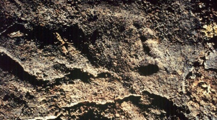 Скални рисунки на 8000 години откриха в Южна Турция