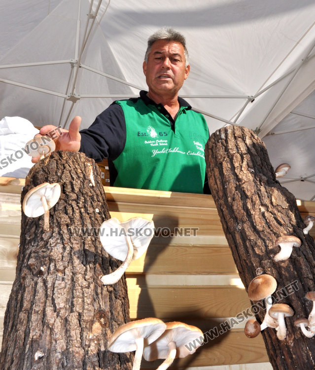 Българите все по-често слагат българското на трапезата