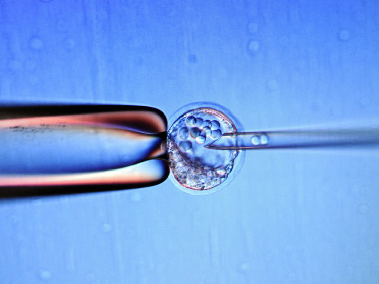 Абрахим Хасан е първото дете с "трима родители"