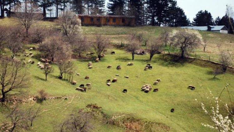 Представят земеделските производители от областта на изложение в Смолян