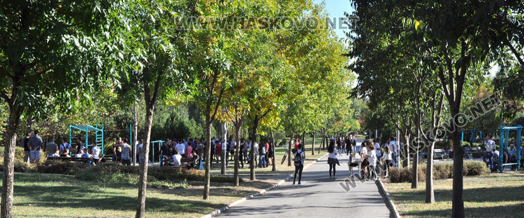 Атлети, съученици и доброволци в акция за Бехи на алеята до Езиковата