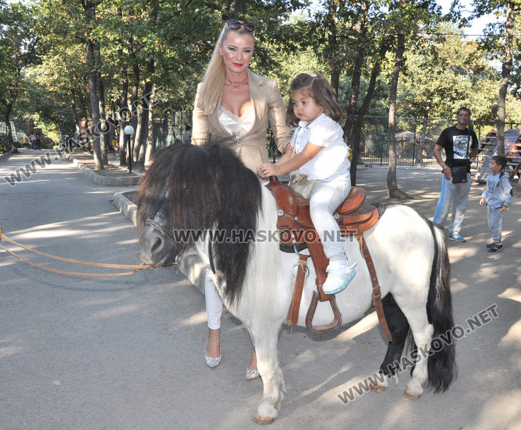 Нов лъв в Зоопарка след кончината на стария, пони атракция за децата