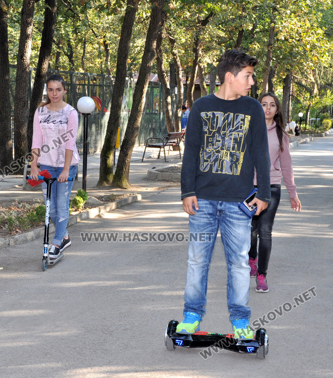 Нов лъв в Зоопарка след кончината на стария, пони атракция за децата