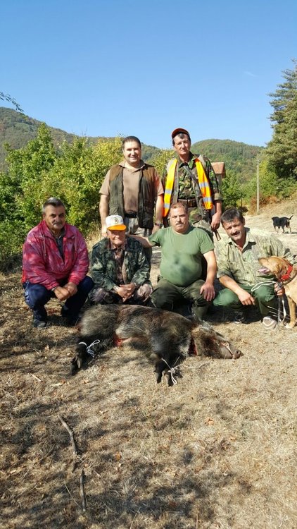 220-килограмов глиган отстреля Реджеб Ниязи