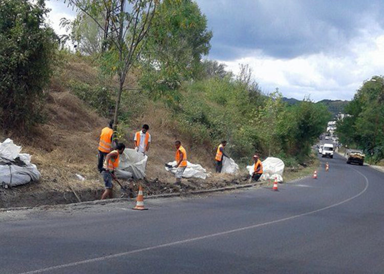 "Грийн партнерс" в битка с боклуците