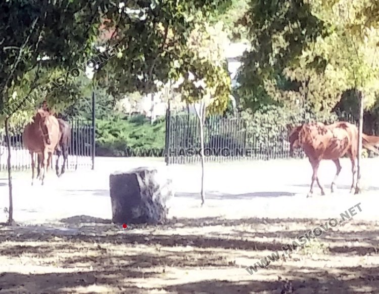 Снимките са читателски