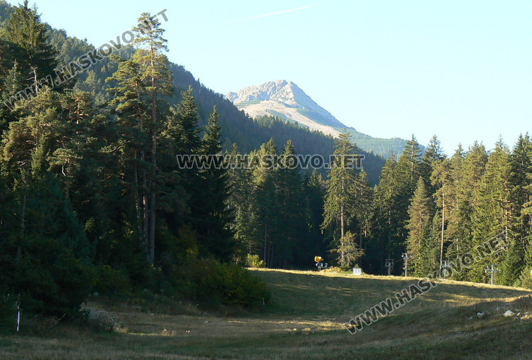 Двама от Хасково с три медала по ориентиране в Банско