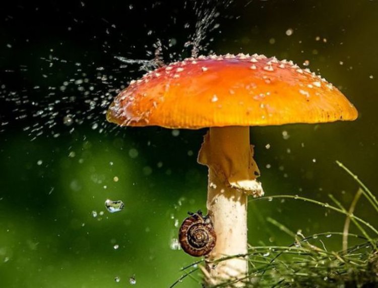 Облаци ни захлупват, температурите падат рязко