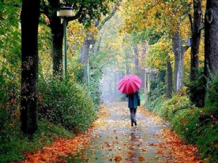 Студено и дъждовно, с температури под 20 градуса