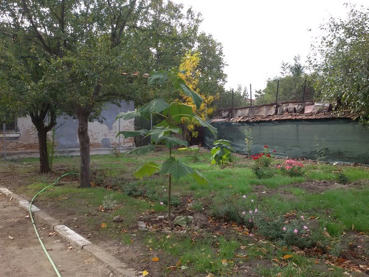 Училището в Дълбок извор най-после има вътрешна тоалетна