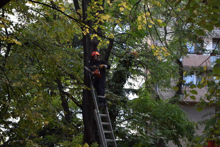 Спасители обезопасяват ул."Отец Паисий"