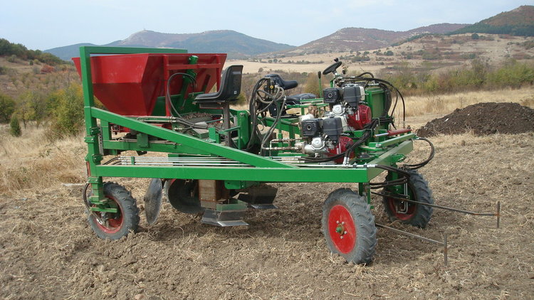 Машина сади шафранови луковици в Кърджалийско,властта обещава опитно поле