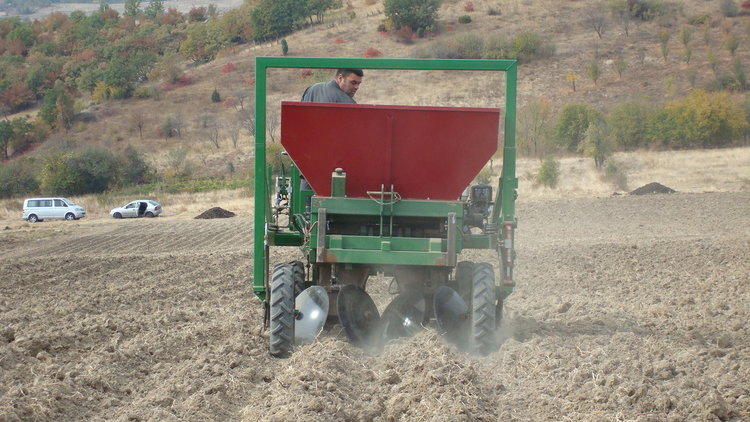 Машина сади шафранови луковици в Кърджалийско,властта обещава опитно поле