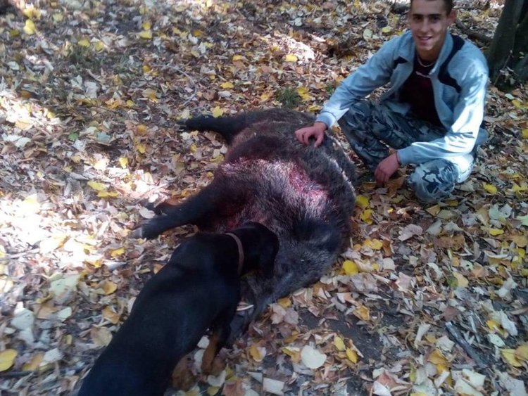 Иван и неговото куче