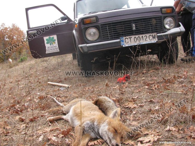 сн: ФПС"Зелени Балкани"