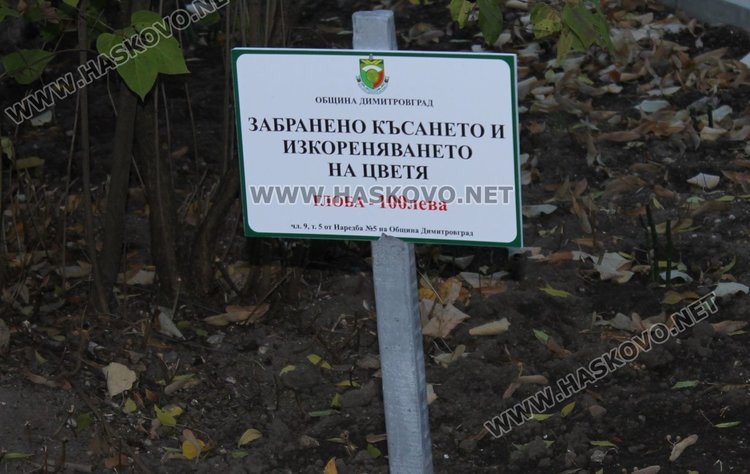 Табели от този вид ще бъдат поставени на всички цветни фигури поддържани от местните комунални фирми