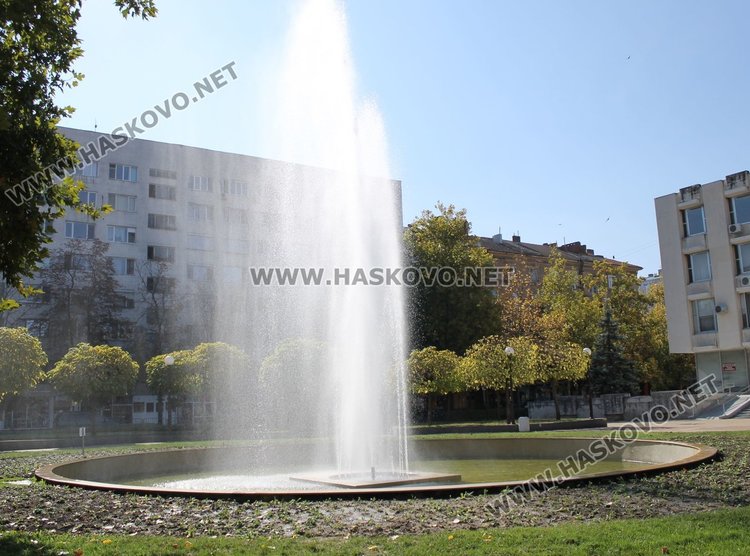 Глобяват за кражба на цветя от зелените площи в Димитровград