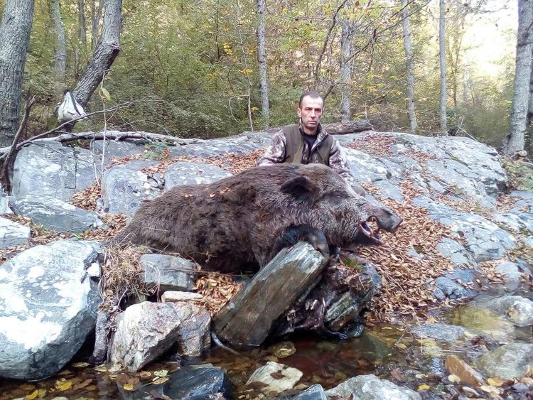 Авджия от Бойно повали 200-килограмов глиган