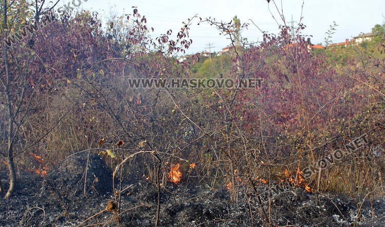 Кенана пламна, огънят на метри от хотел „Европа“
