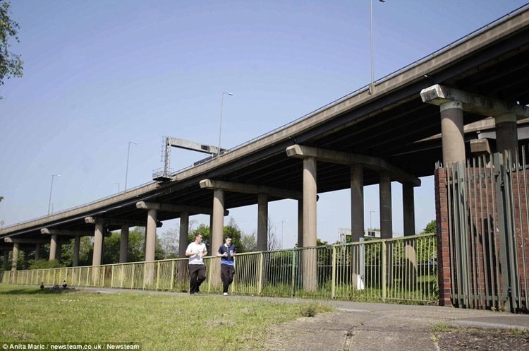 Някои колони  достигат 25 метра височина