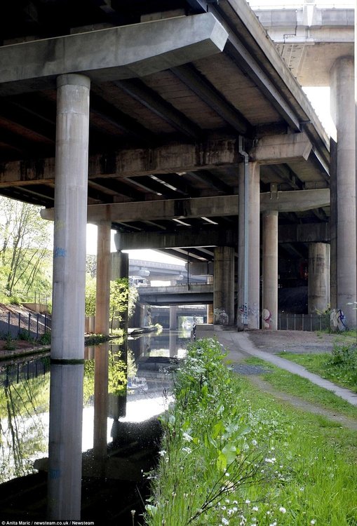 Част от колоните са във водата