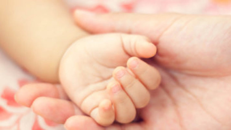 Зика причини микроцефалия на над 2000 бебета в Бразилия през 2016 г.