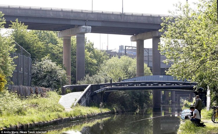 а някои дори ловят риба