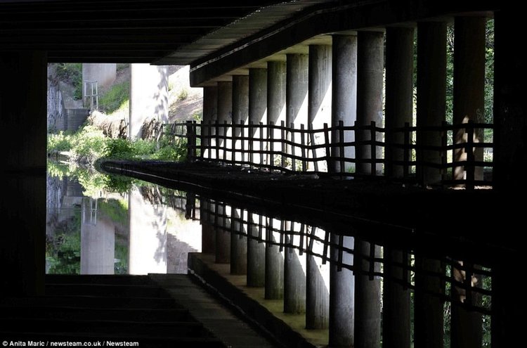 Спокойни води под най-лудата детелина