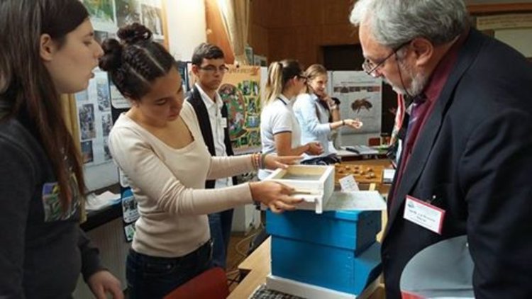 Гимназистки получиха висока оценка за научна разработка