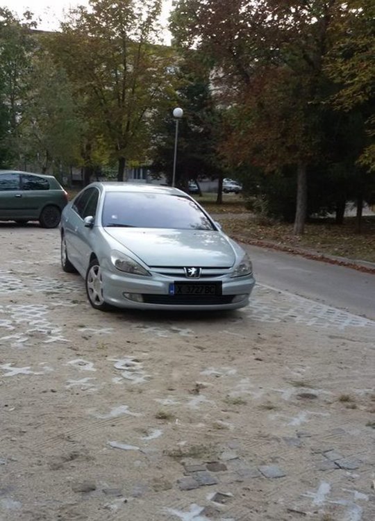 Снимка - Димитровградски нередности