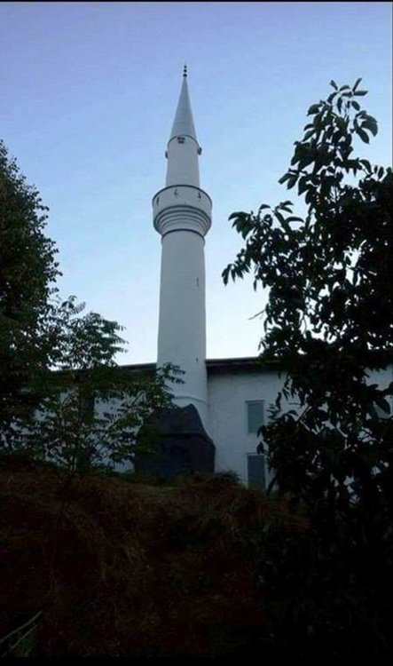 Гурбетчия от Холандия ремонтира минарето на джамията в Бял извор 