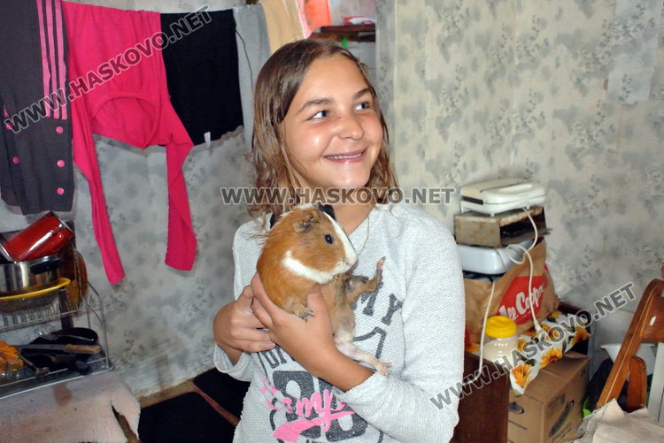 Кичка с домашния си любимец - морското свинче Прасчо