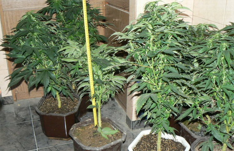 снимка:интернет