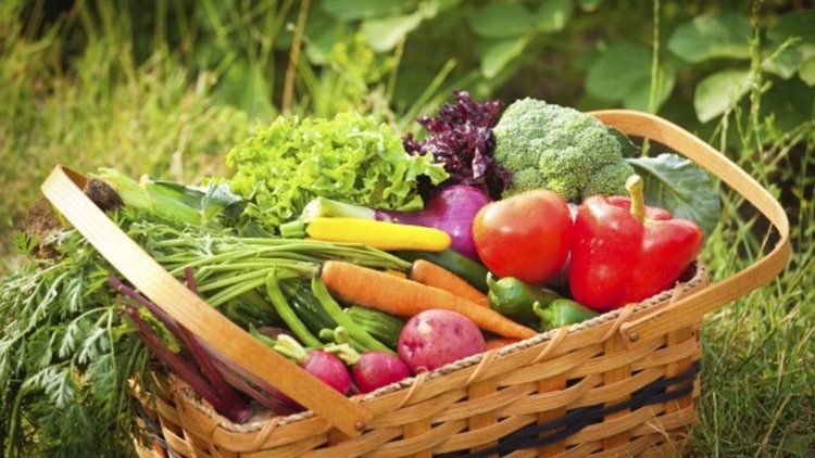 Българи и румънци ядат най-малко плодове и зеленчуци в ЕС