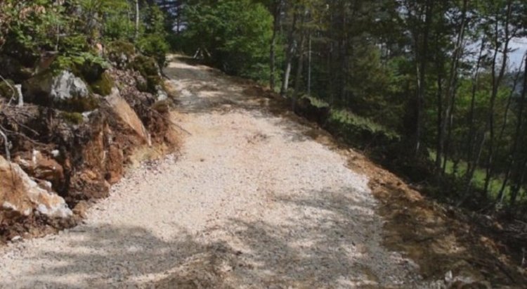 Девойки от Смолян се загубиха в гората след поклонението на връх Средногорец