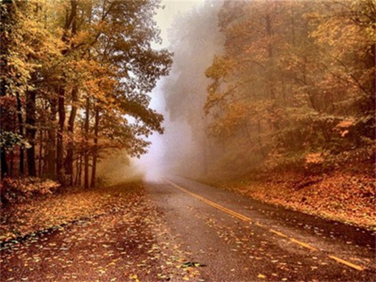 Облачна и мъглива неделя, на места ще прегърми