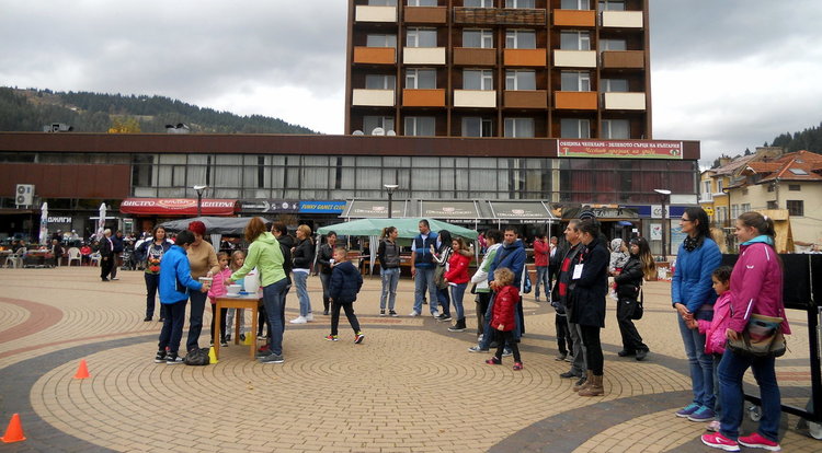 Картофи гиганти показаха на първия по рода си картофен фестивал в Чепеларе