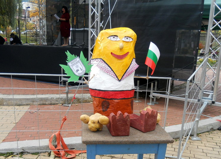 Картофи гиганти показаха на първия по рода си картофен фестивал в Чепеларе