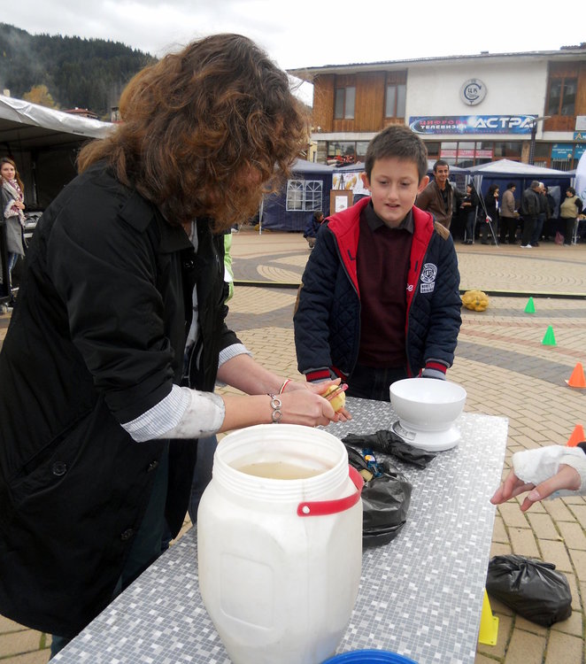 Картофи гиганти показаха на първия по рода си картофен фестивал в Чепеларе