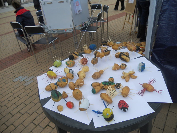 Картофи гиганти показаха на първия по рода си картофен фестивал в Чепеларе