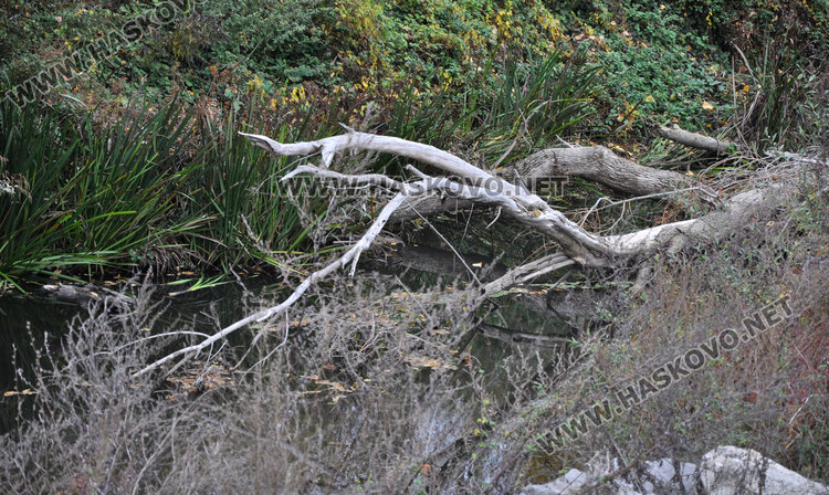Укрепват скъсаната дига по Олу дере, заливала Стойково и Е-80