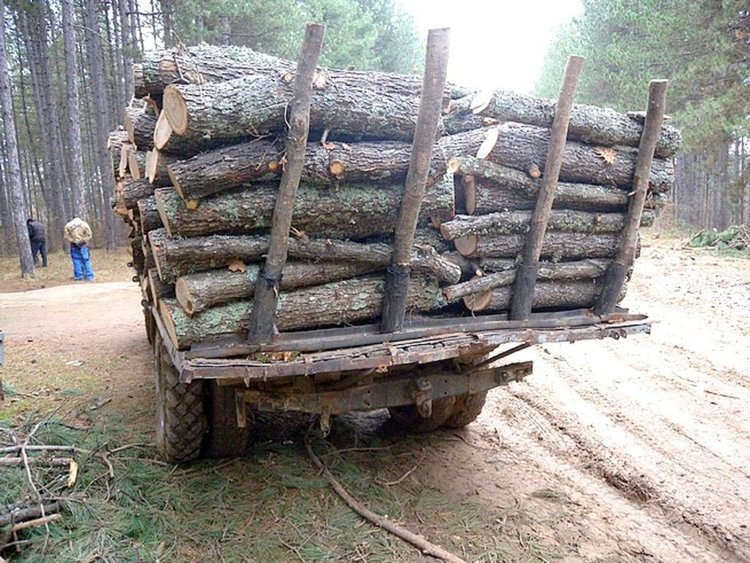 Спипаха камион с дърва без документ