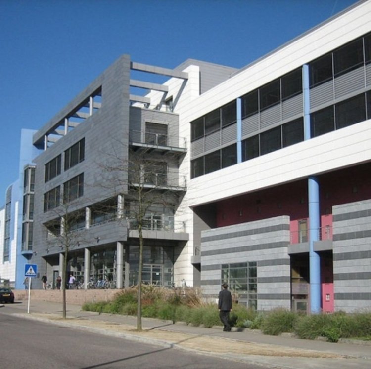 Евростат: Българският ИТ-експерт е млад мъж с добри доходи