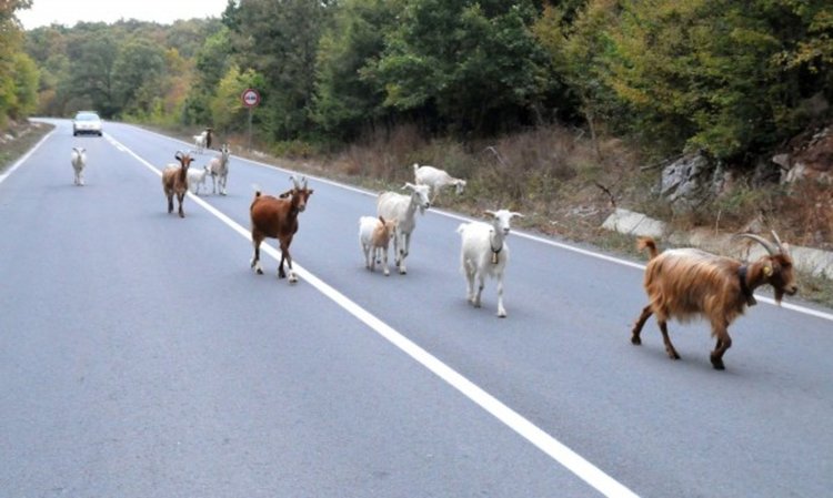 В Топ 5 сме на ЕС – по най-лоши пътища