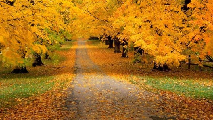 Вятър и малко слънце в неделя